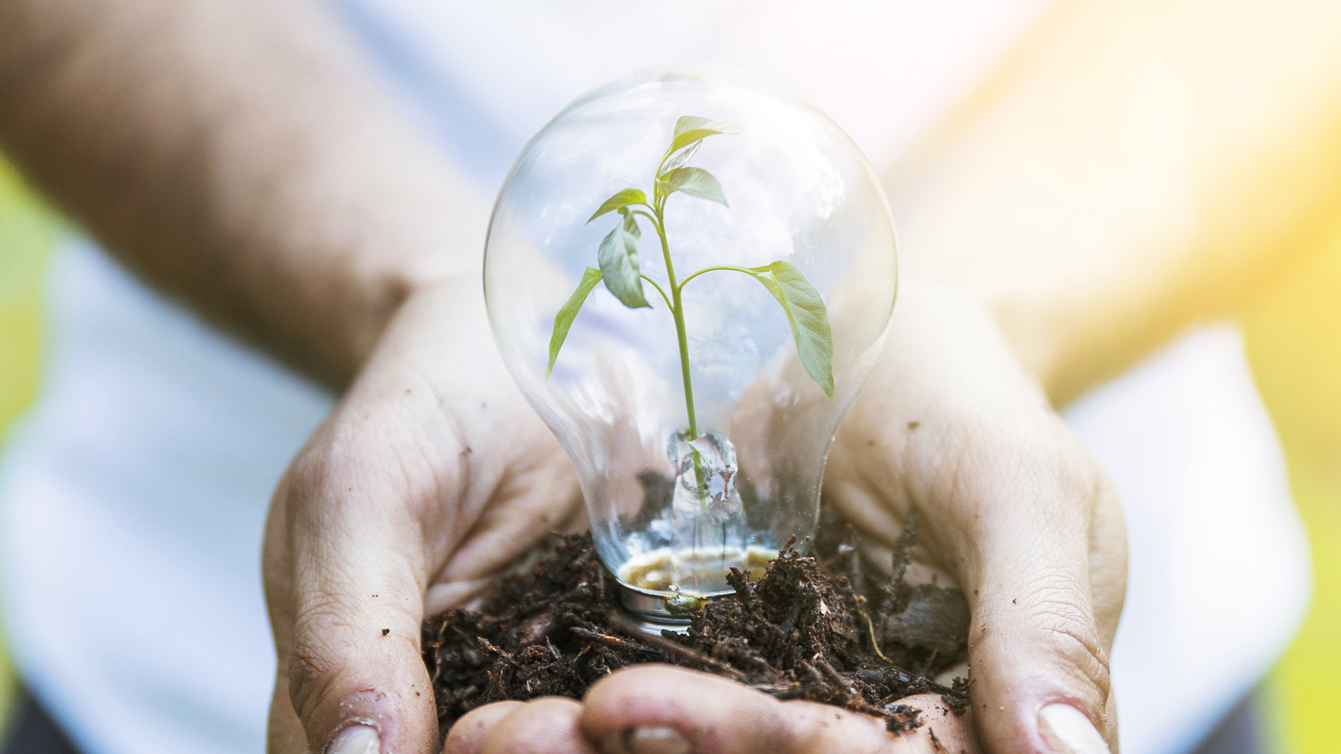 8. Energie- und Klimapolitik​